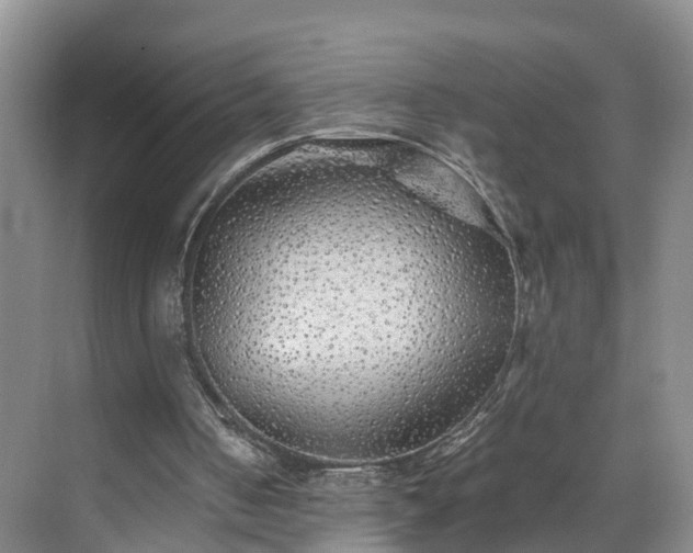 X0000071790050200607071506