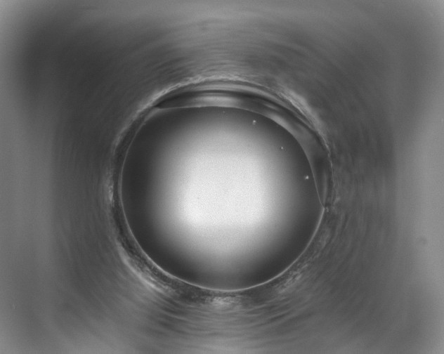 X0000071790060200607071506