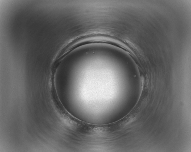 X0000071790064200607071506