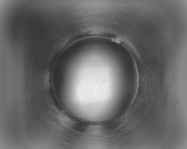 X0000071790066200607071506