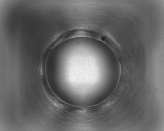 X0000071790068200607071506