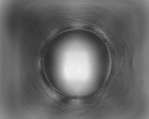 X0000071790071200607071506