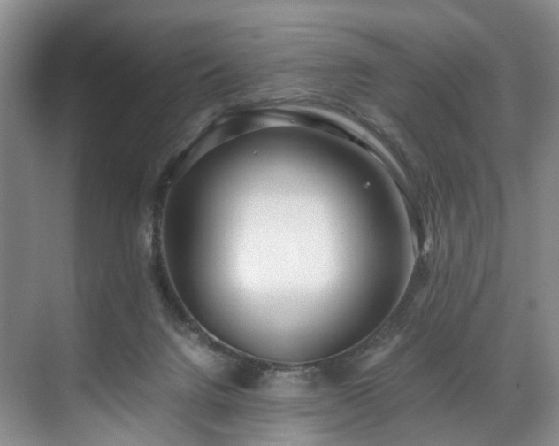 X0000071790072200607071506