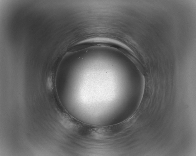 X0000071790074200607071506
