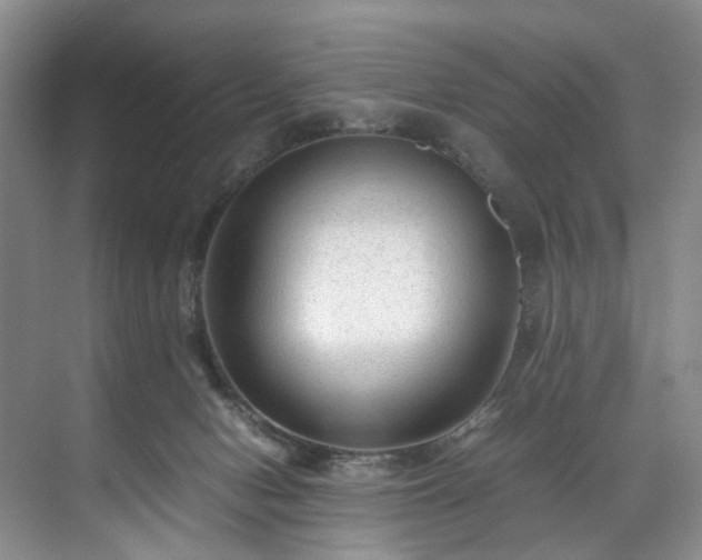 X0000071790078200607071506
