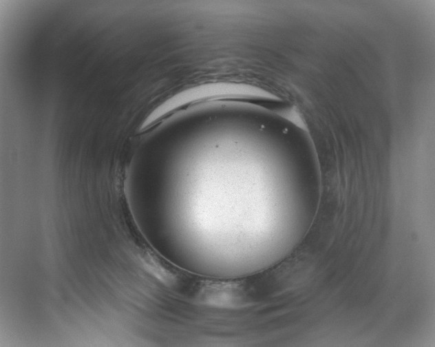 X0000071790081200607071506