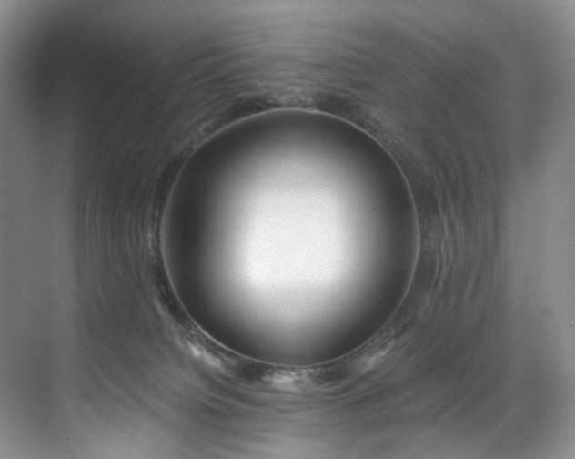 X0000071790084200607071506