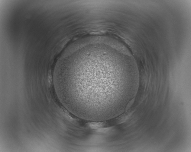 X0000071790085200607071507