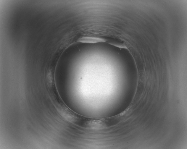 X0000071790086200607071507
