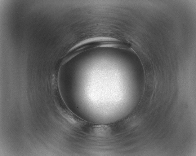 X0000071790087200607071507
