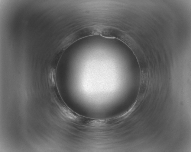 X0000071790094200607071507