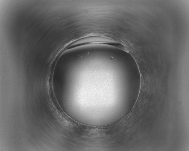 X0000071790098200607071506