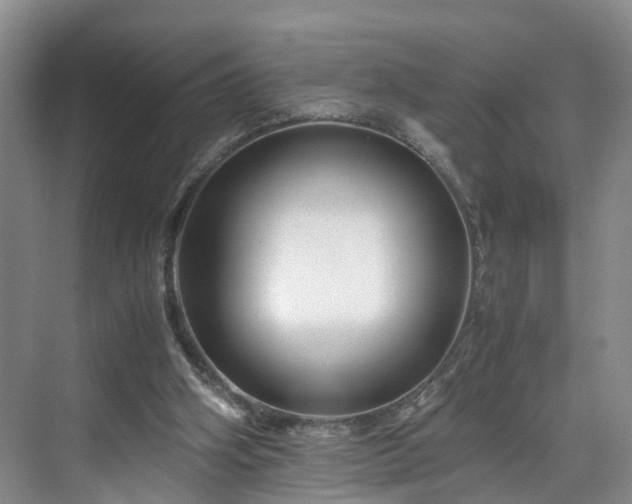 X0000071790106200607071506