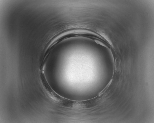 X0000071790109200607071506