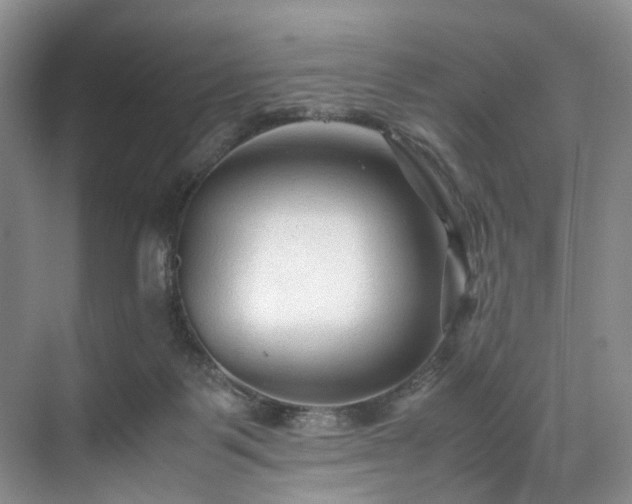 X0000071790123200607071505
