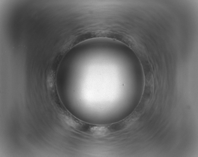 X0000071790133200607071505