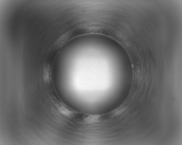 X0000071790138200607071505