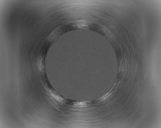 X0000071790140200607071505