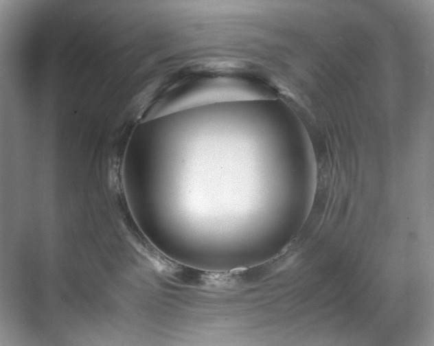 X0000071790141200607071505