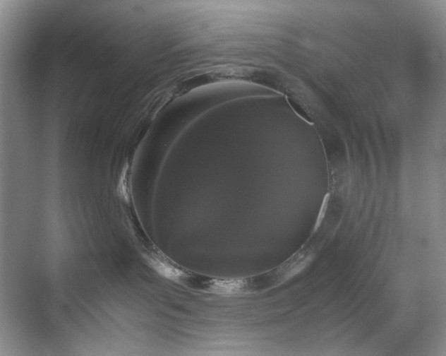 X0000071790143200607071505