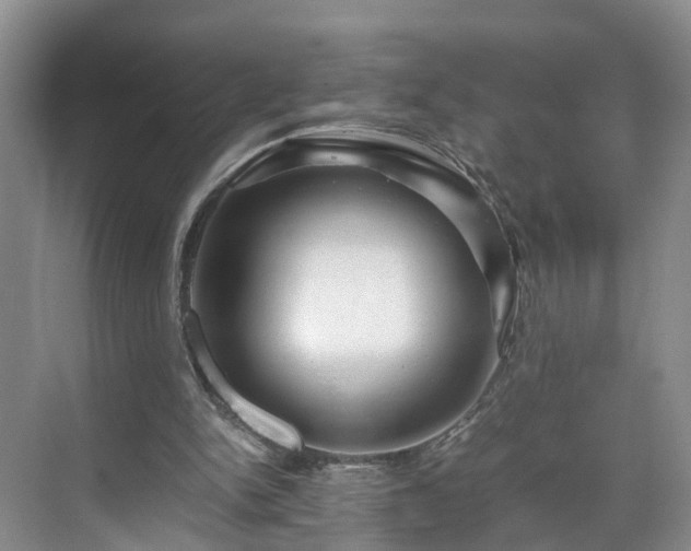 X0000071790150200607071504