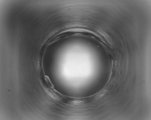 X0000071790158200607071504