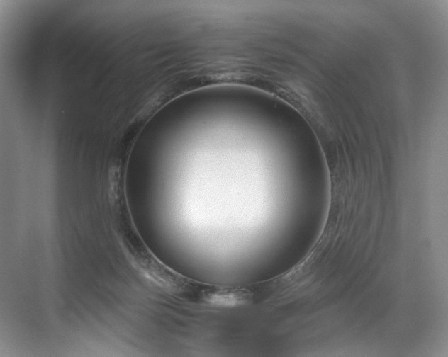 X0000071790171200607071505