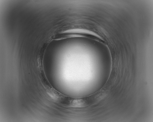 X0000071790173200607071505