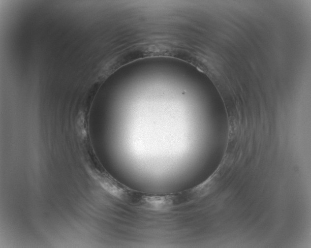X0000071790187200607071505