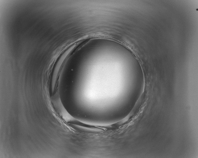 X0000071790193200607071504
