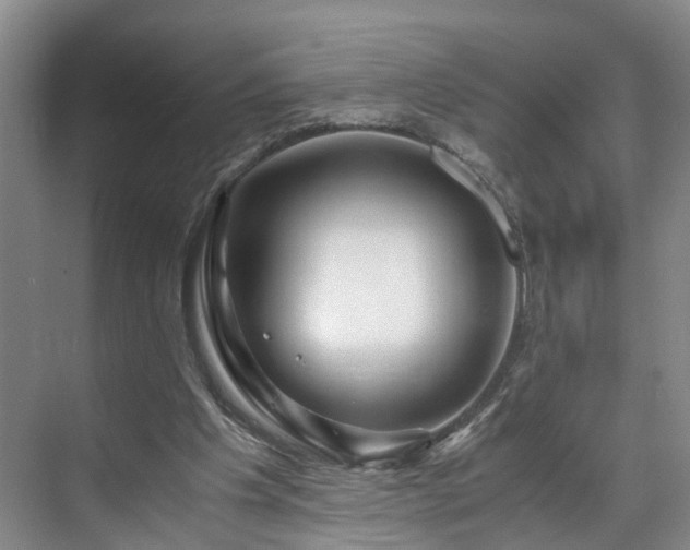 X0000071790201200607071504