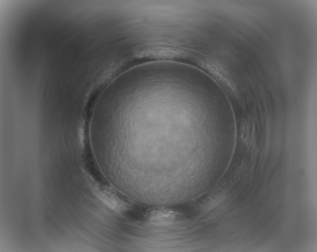X0000071790206200607071504