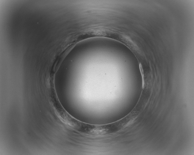 X0000071790213200607071504