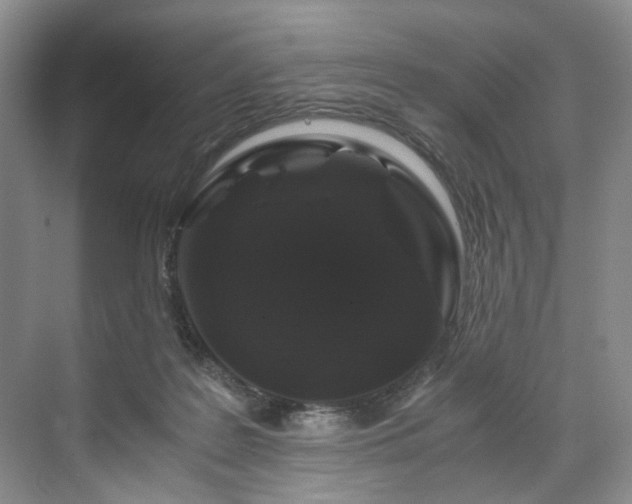 X0000071790219200607071504