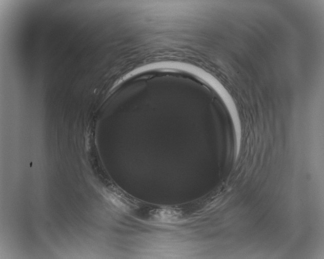 X0000071790223200607071504