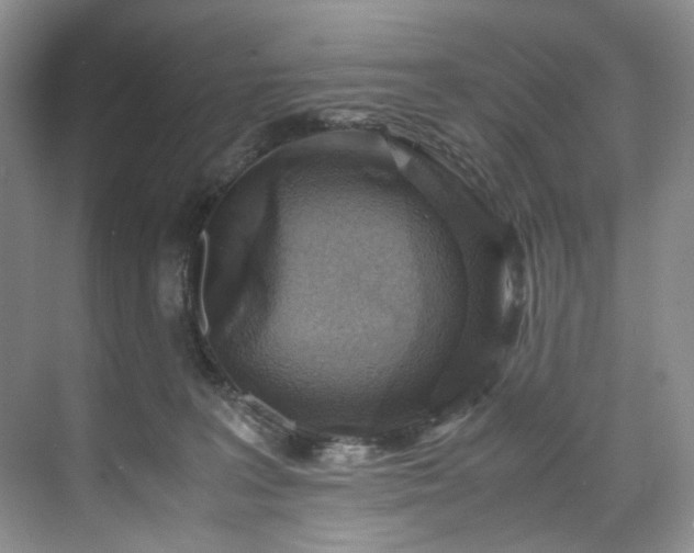 X0000071790227200607071504