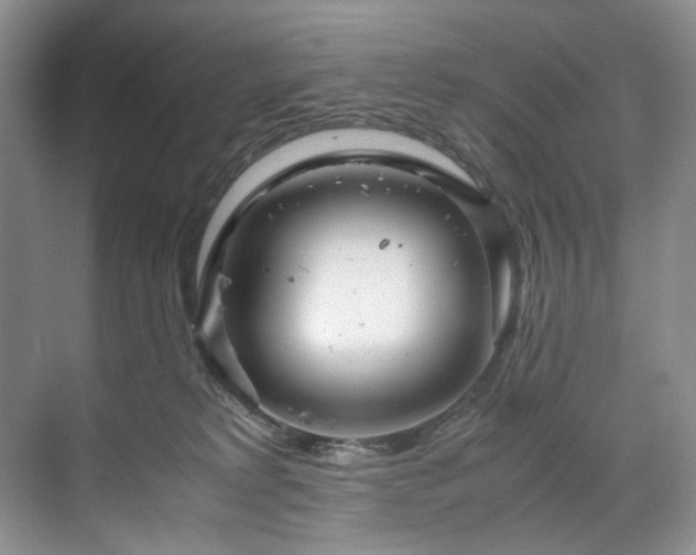 X0000071790229200607071504