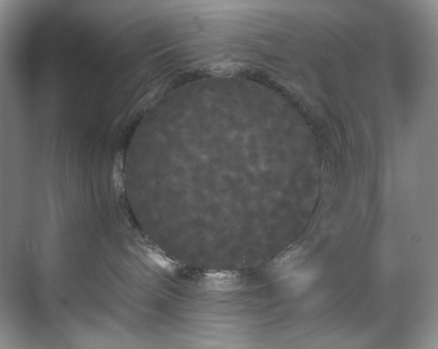 X0000071790240200607071503