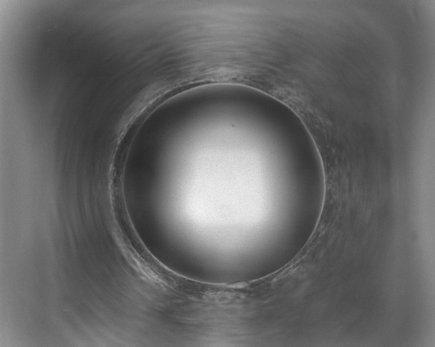 X0000071790242200607071503