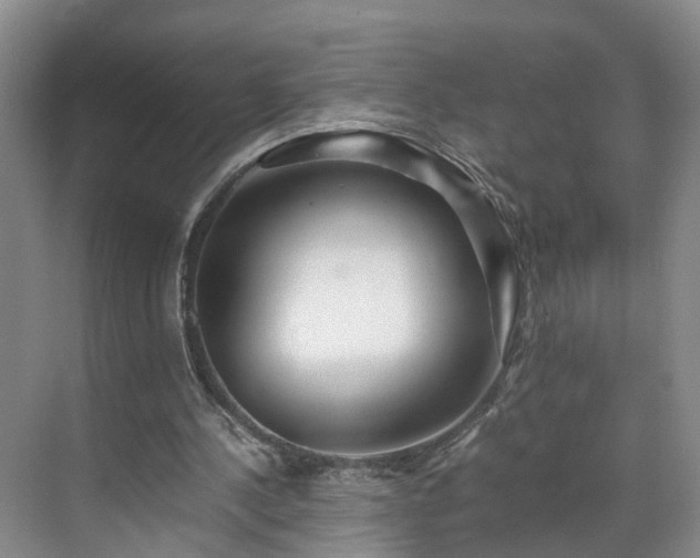 X0000071790244200607071503