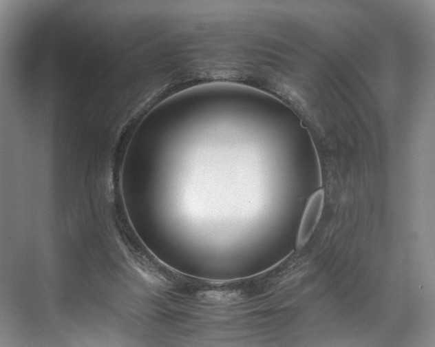 X0000071790251200607071503