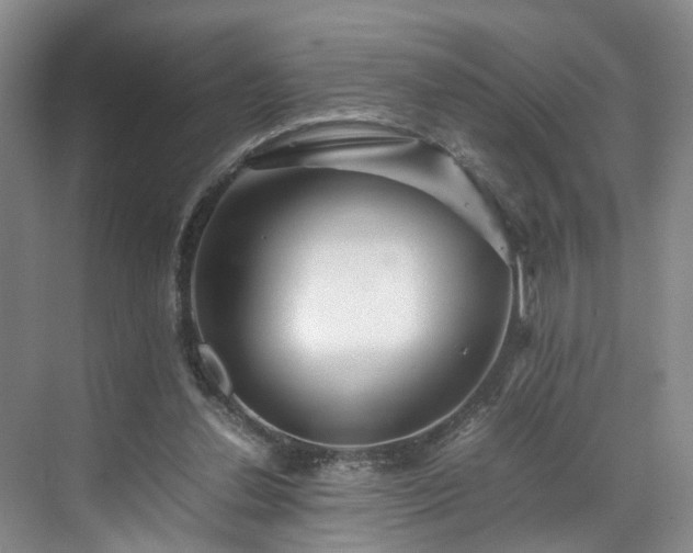 X0000071790252200607071503