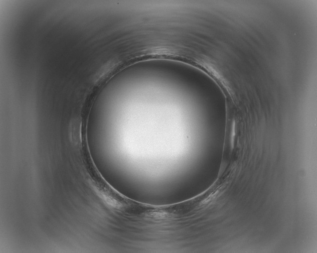 X0000071790253200607071503