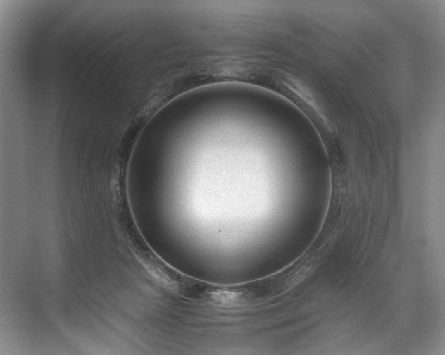 X0000071790265200607071503