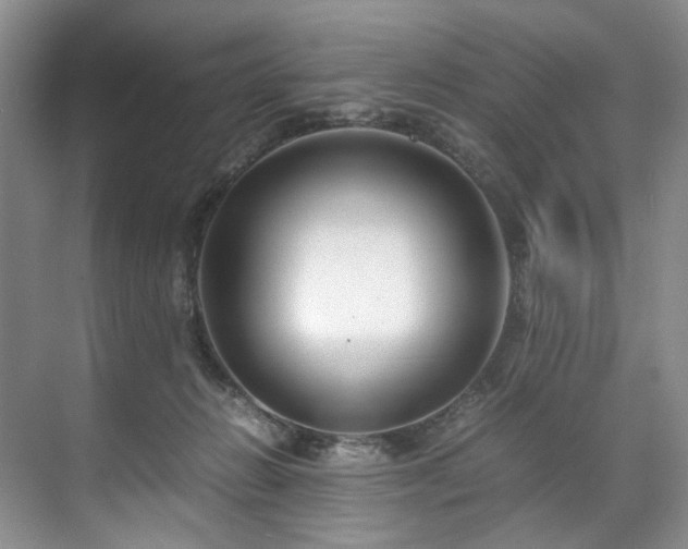 X0000071790270200607071503