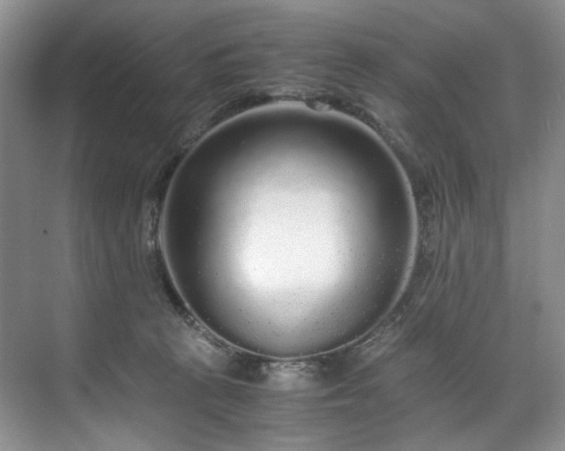 X0000071790273200607071503