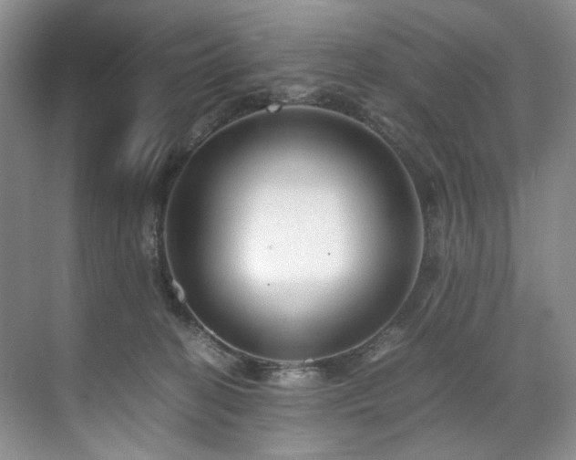 X0000071790274200607071503