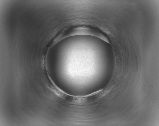 X0000071790288200607071503
