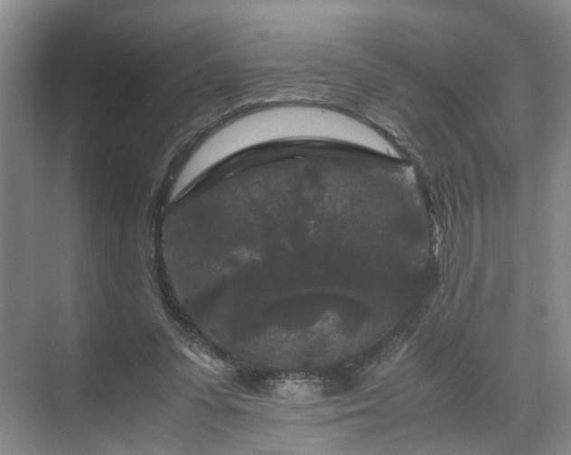 X0000071790303200607071502