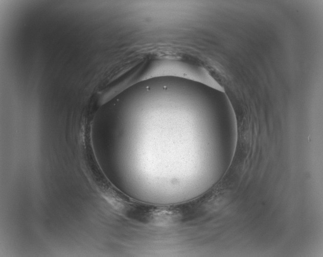 X0000071790315200607071502